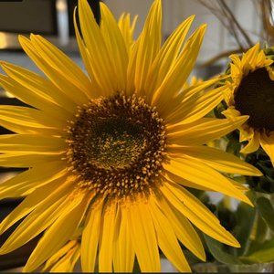 Meet your Posher, LuxuryLover112